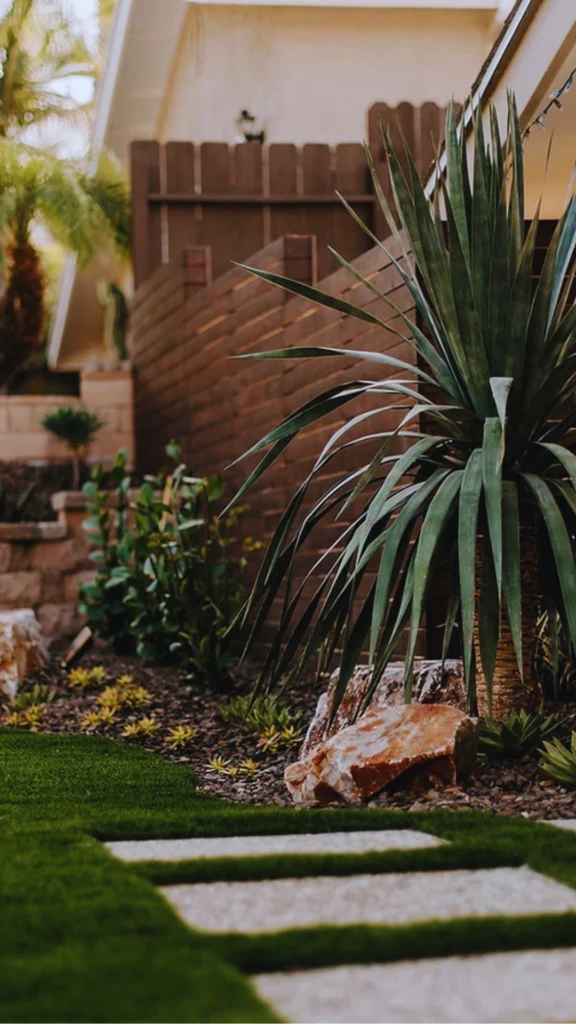 A luxury outdoor garden design showcasing a single, show-stopping statement plant with immense architectural presence. A mature yucca or palm-like plant with dramatic, radiating spiky green fronds acts as the focal anchor of the bed. It is anchored by large, rustic stone boulders in a dark mulch garden bed, seamlessly elevating the vertical interest of the landscape alongside a sleek, modern wooden slat fence.