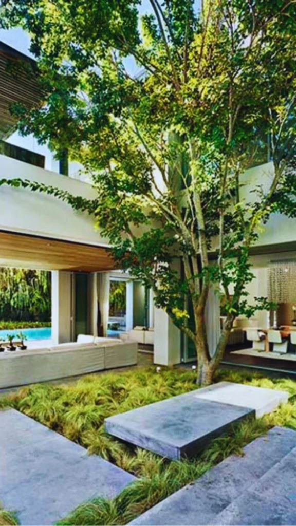 A high-end architectural home featuring an internal courtyard garden under a high open ceiling. A large leafy deciduous tree grows inside the house from a bed of dense green lawn grasses. Smooth grey stone steps and concrete slabs cross the central garden bed, which opens up directly to a modern white living room with low-profile sofas and wood-paneled ceilings next to an outdoor pool.