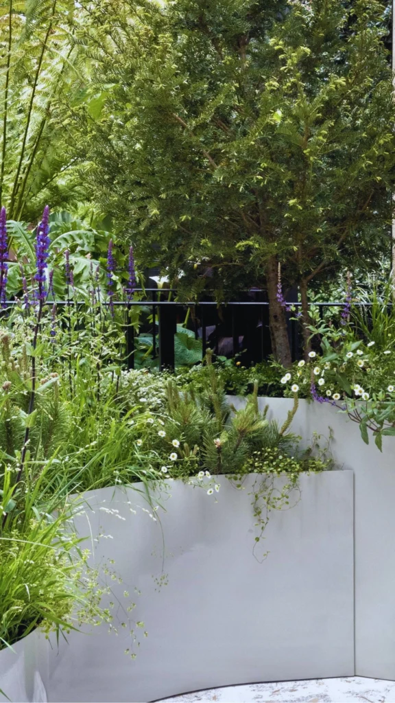 A masterfully layered luxury garden arrangement showing three-dimensional botanical harmony. The layout anchors the space with a tall, dense green tree and textured fern fronds in the background. Mid-height clusters of tall purple lavender stalks and delicate white daisies add vibrant color and texture variety, while trailing vines and low-growing pine shrubs soften the foreground from inside custom, curved light-grey geometric steel planter boxes.